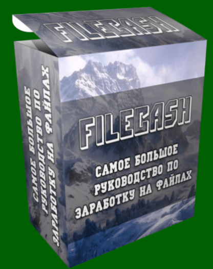 FILE CASH — большое руководство по заработку на файлообменниках-Скачать за 200