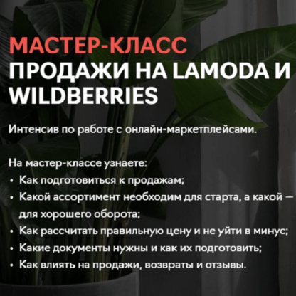Продажи на Lamoda и Wildberries -Скачать за 200
